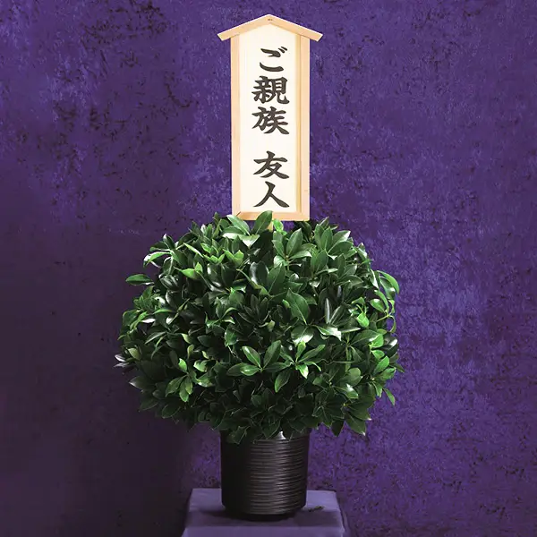 樒(しきみ)１基