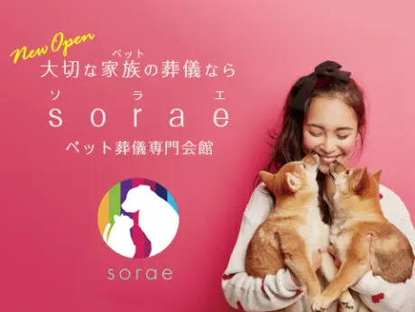 sorae